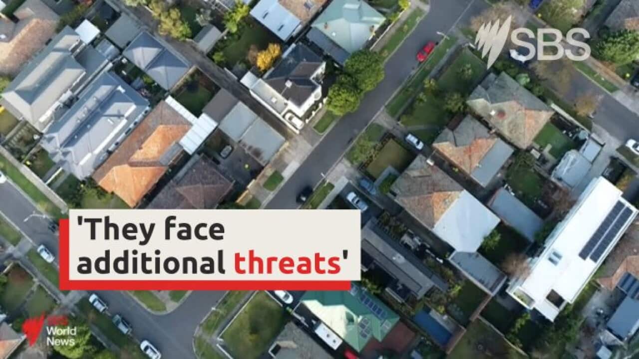 Specialist domestic violence support hub for migrants and refugees I ...