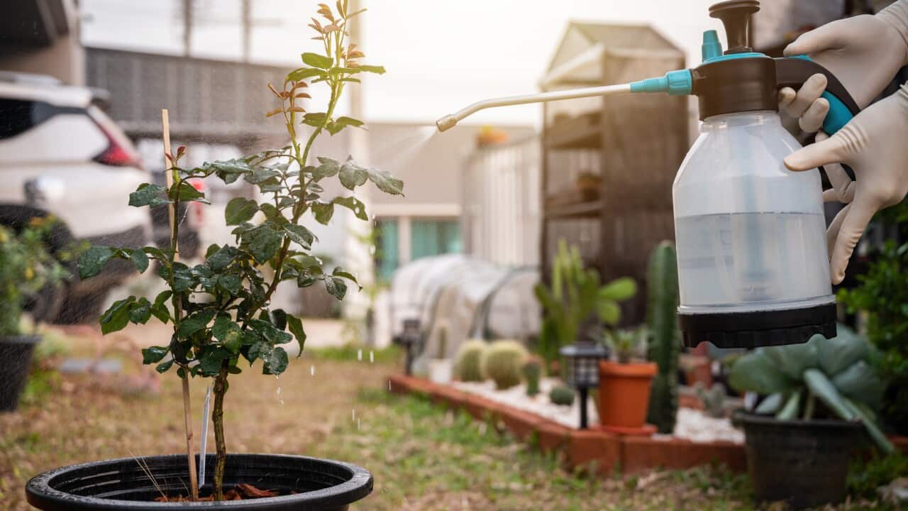 Image for read more article '阅读更多'