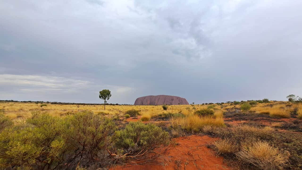 20251023_144405.jpg