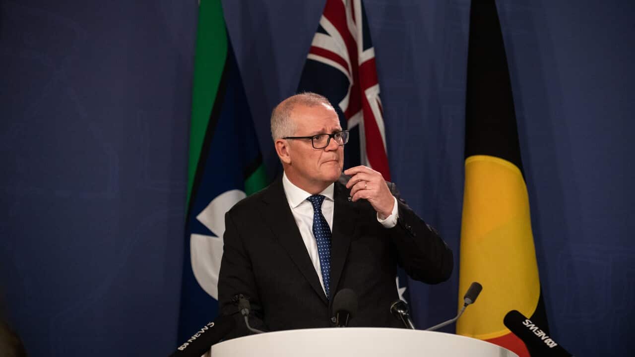 SCOTT MORRISON PRESSER