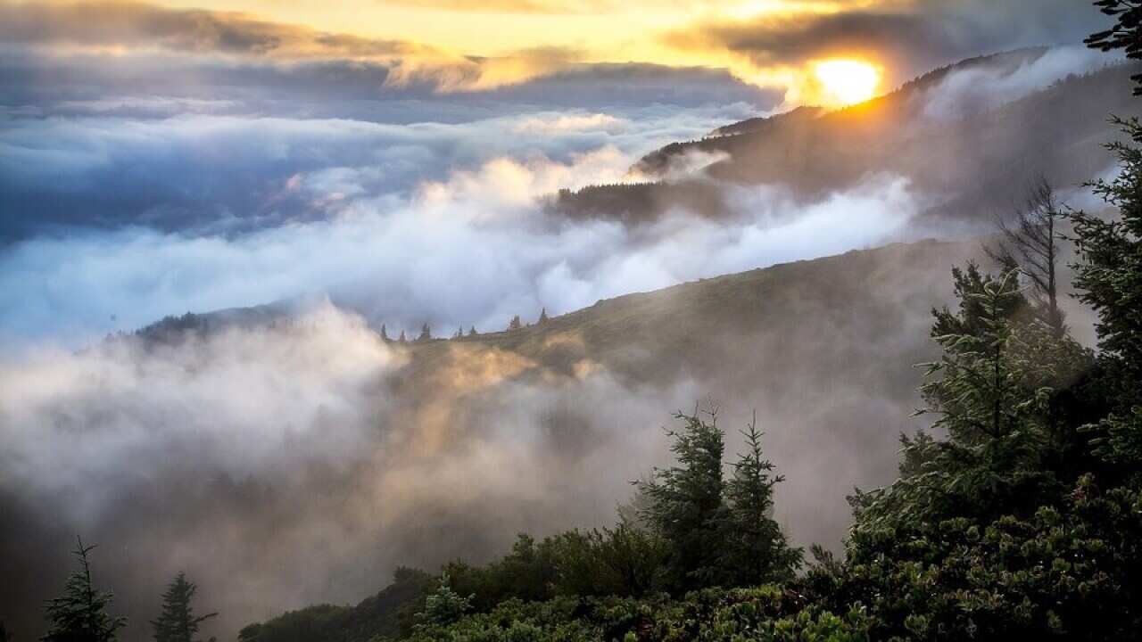 Smoke Cloud