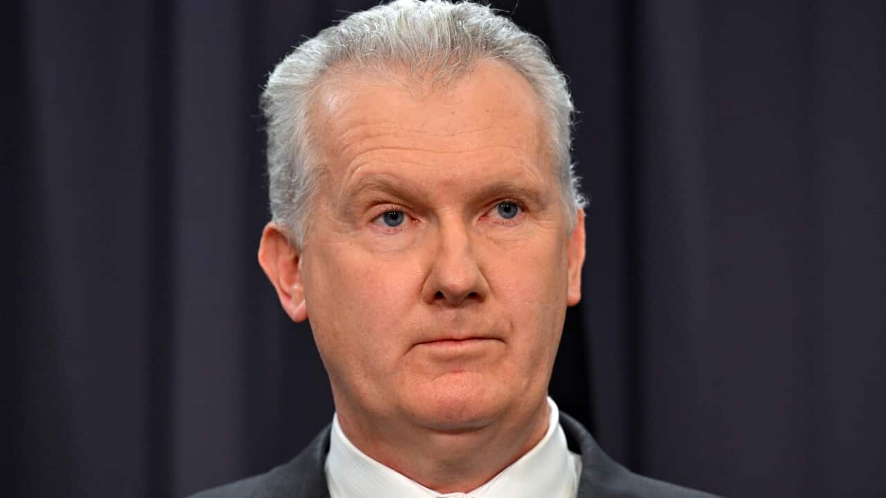 A man with white hair and a dark suit