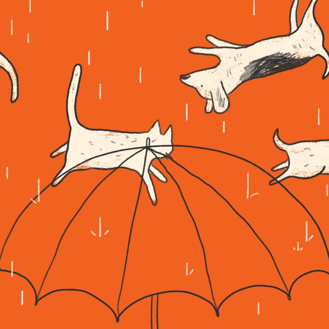 Иллюстрация к «It’s raining cats and dogs»