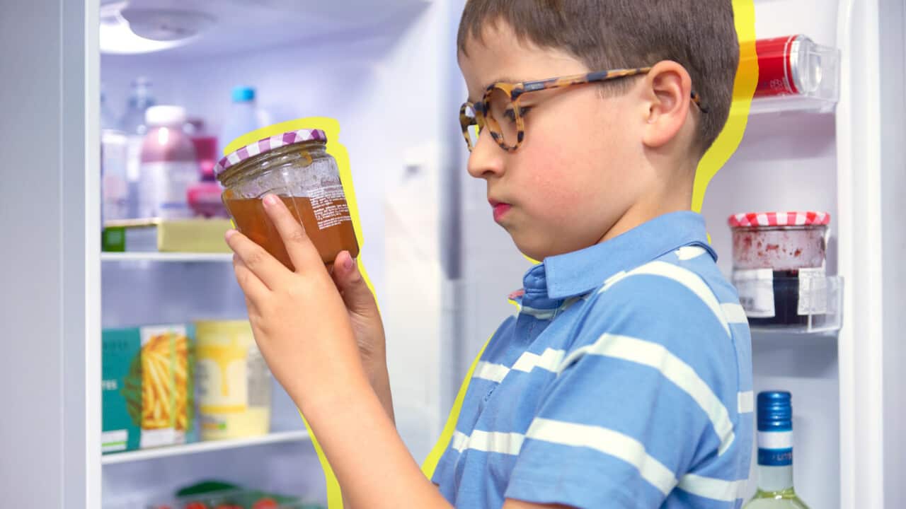 FOOD SPRING RNF 1280 x 720 px.png