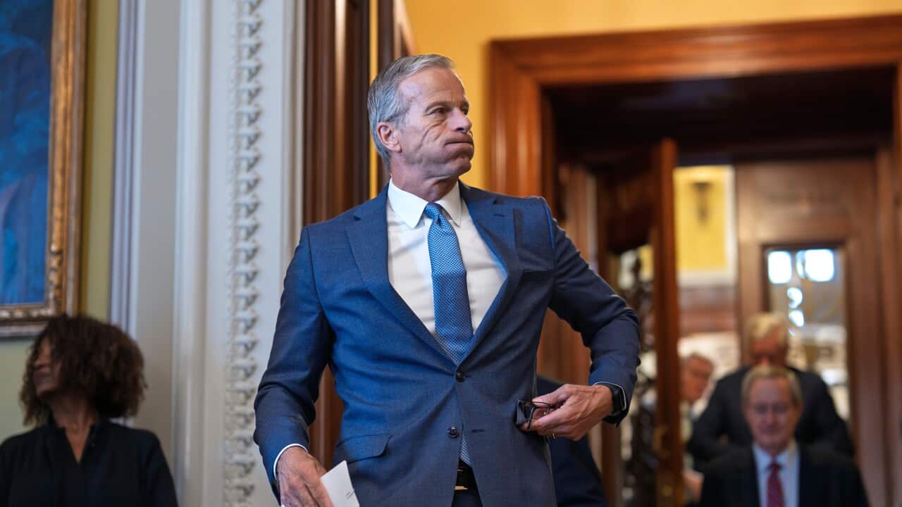 John Thune