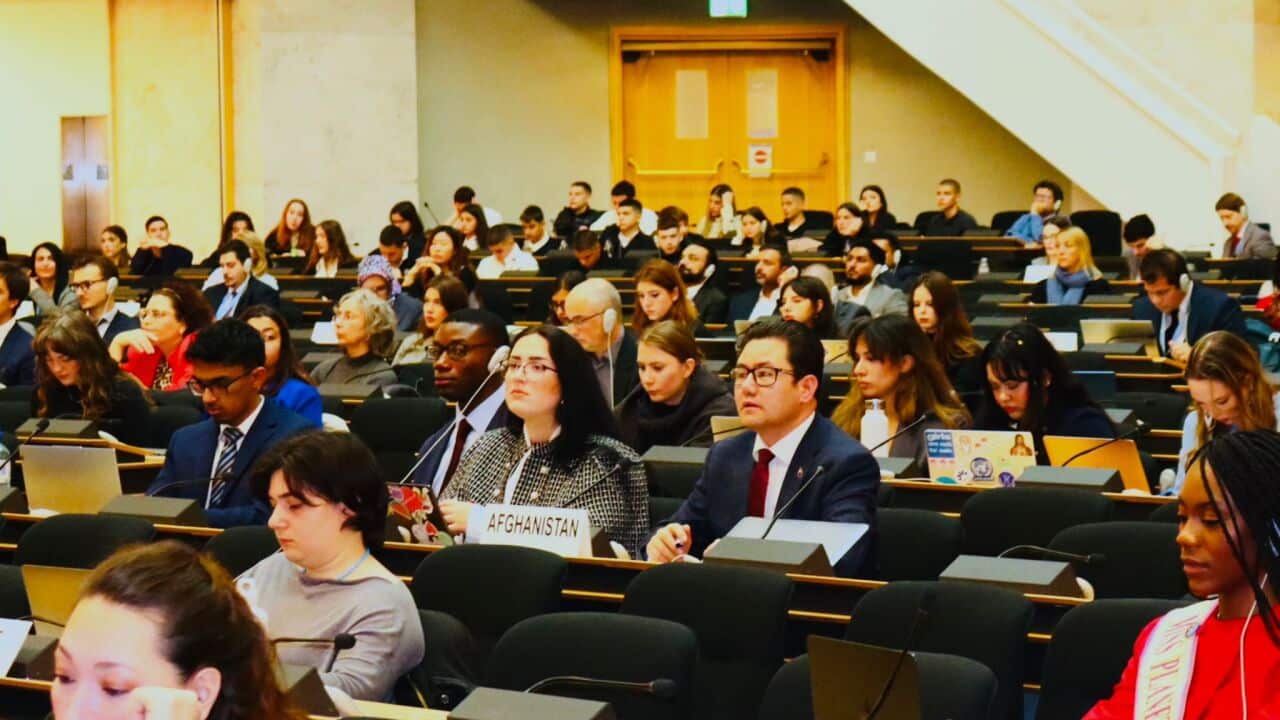 WhatsApp Image 2025-11-06 at 2.48.42 PM (3).jpeg