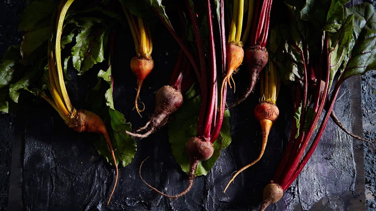 how-to-grow-beetroot-sbs-food
