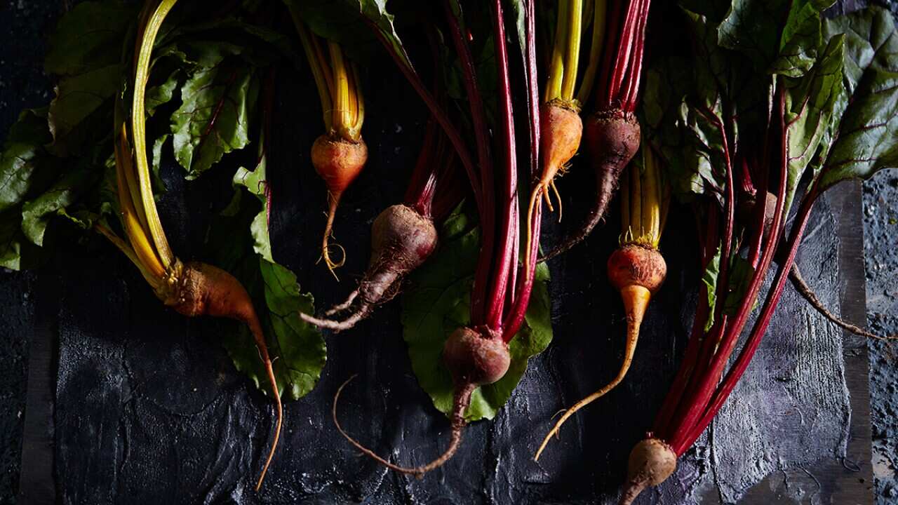 How To Grow Beetroot SBS Food how-to-grow-beetroot-sbs-food