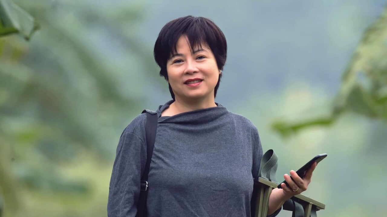 Nguyen Thuy Hanh