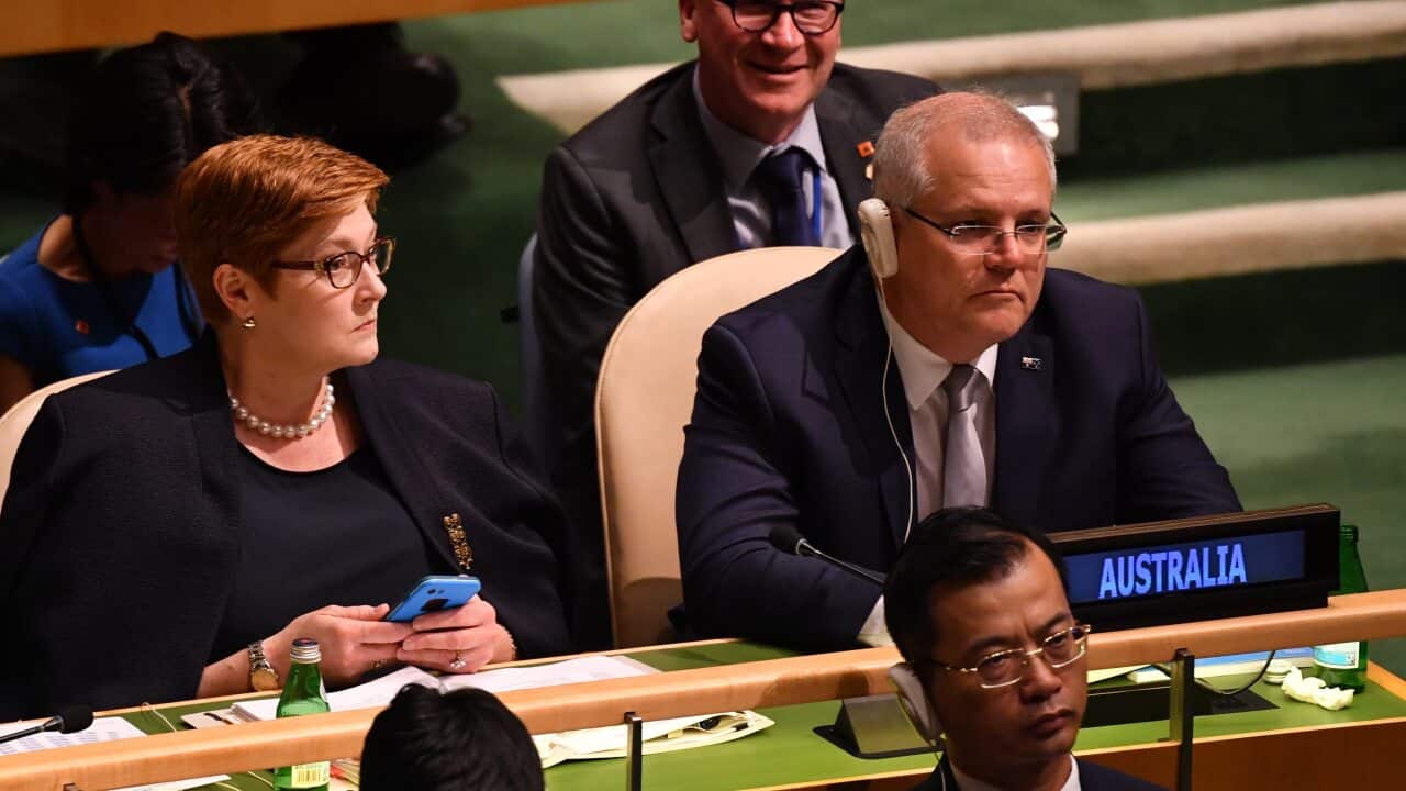 Image for read more article 'READ MORE'