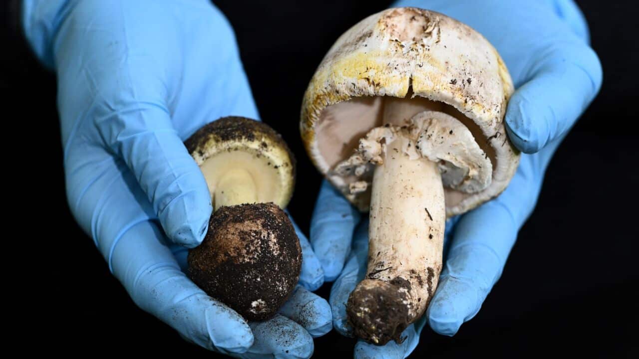 Image for read more article '更多內容'