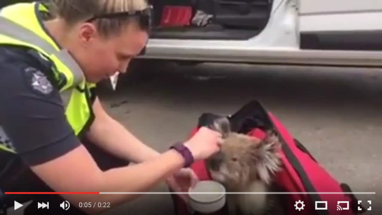 Image for read more article ''