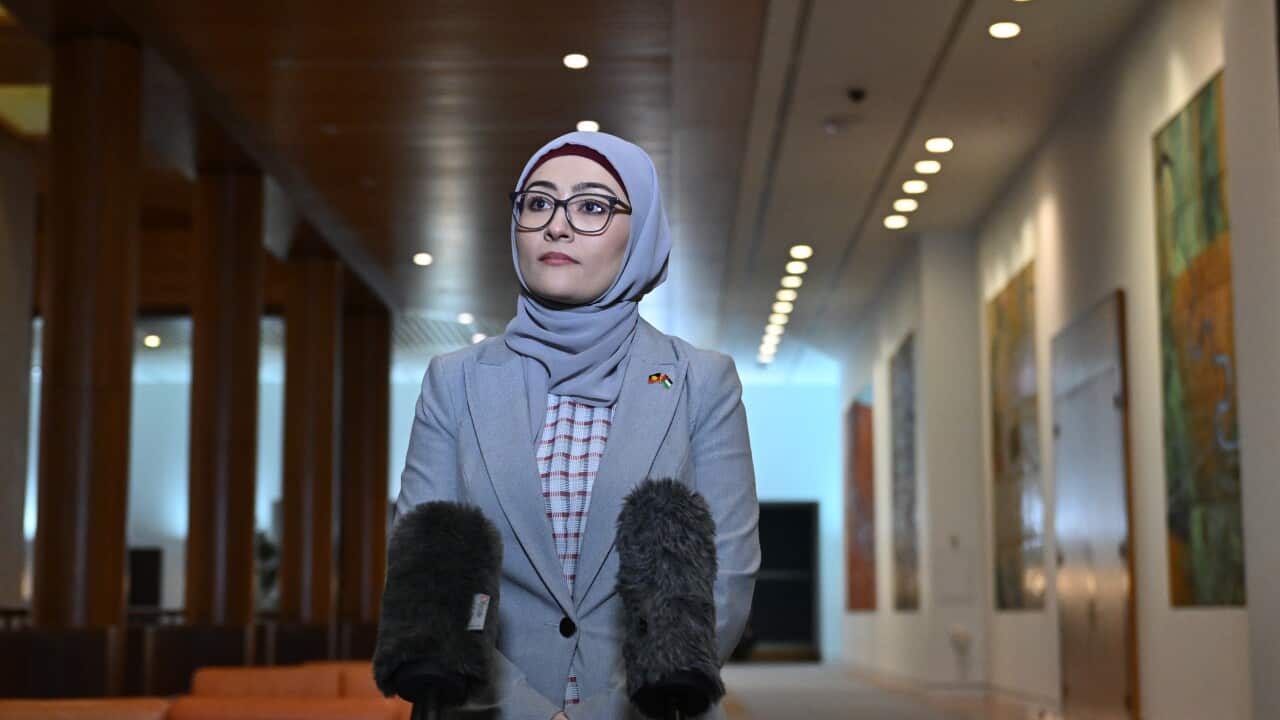 FATIMA PAYMAN PRESSER