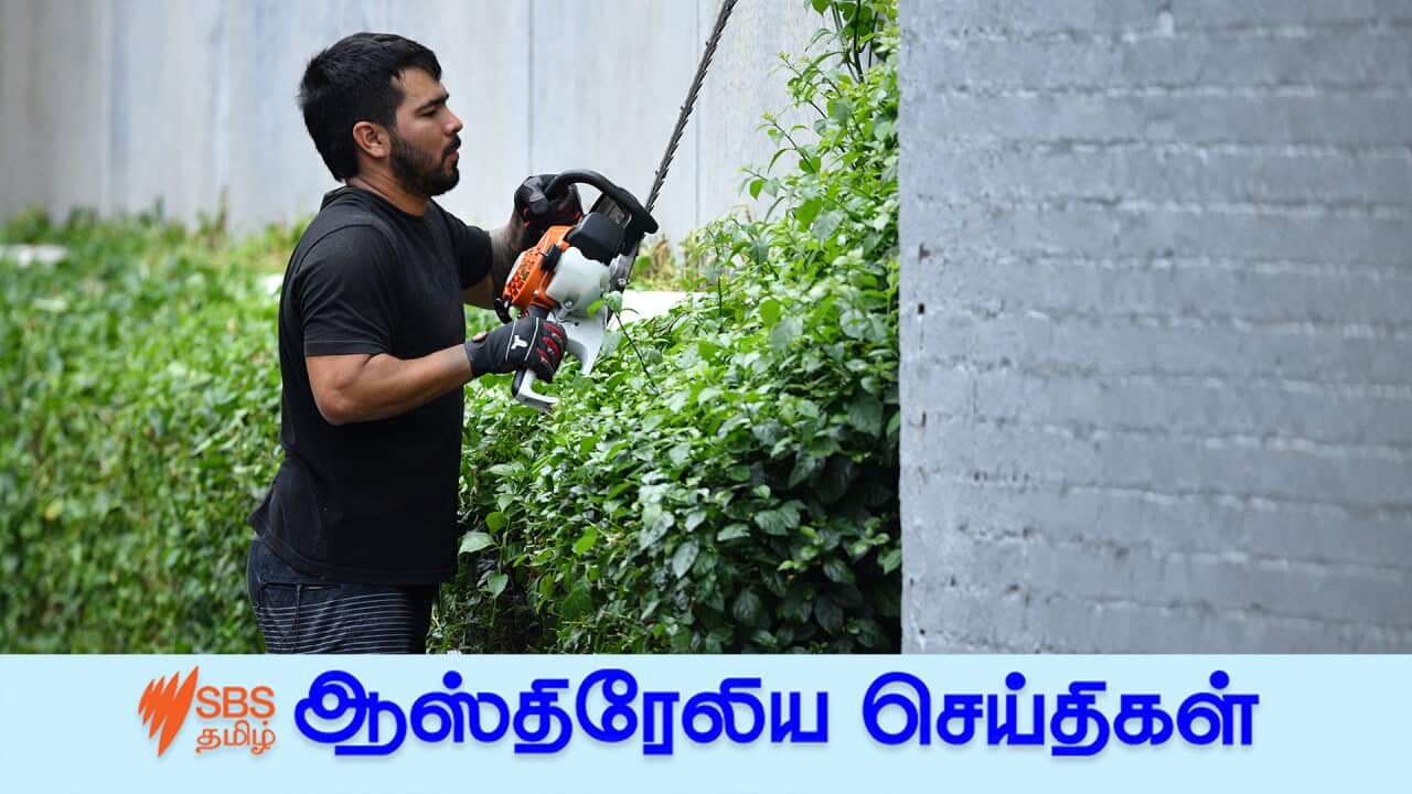 ABS LABOUR FORCE FIGURES