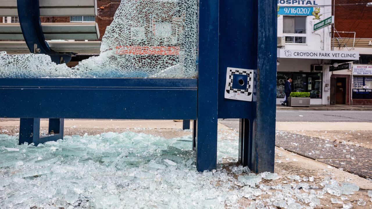 Image for read more article ''