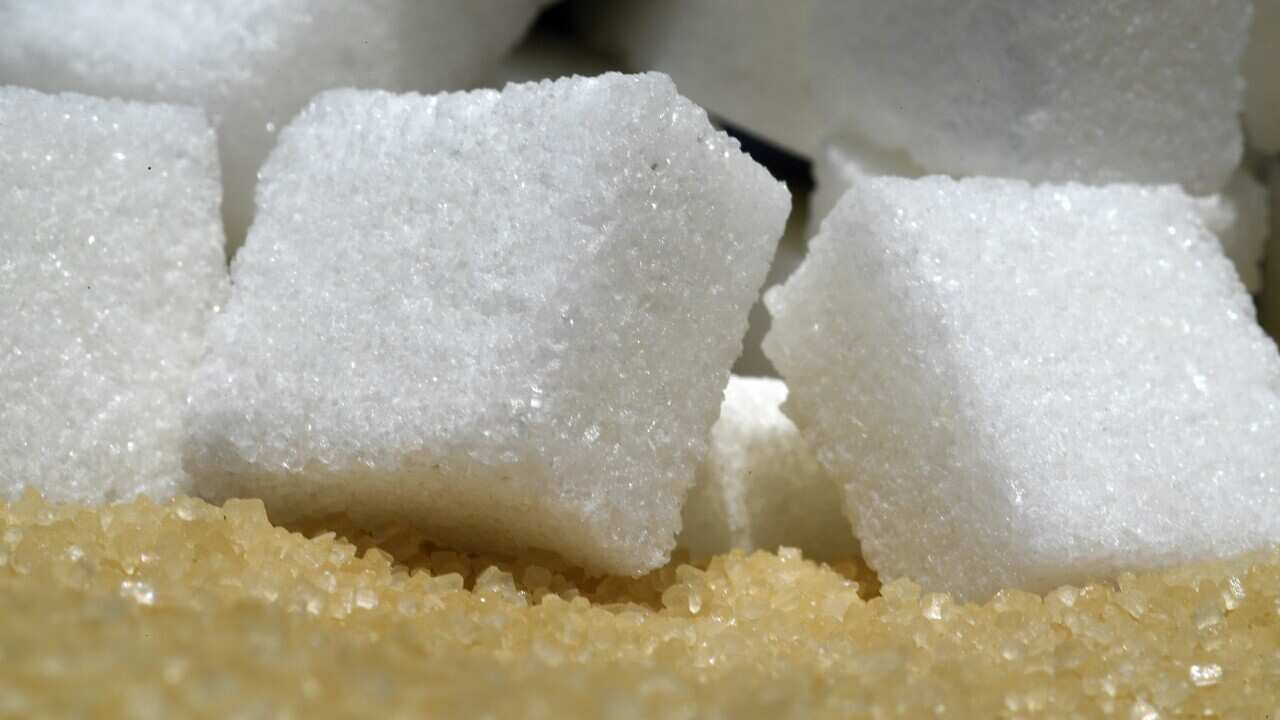 SUGAR STOCK