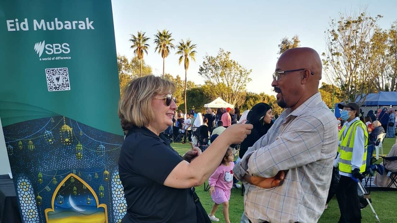 WhatsApp Image 2024-04-16 at 2.03.59 PM.jpeg