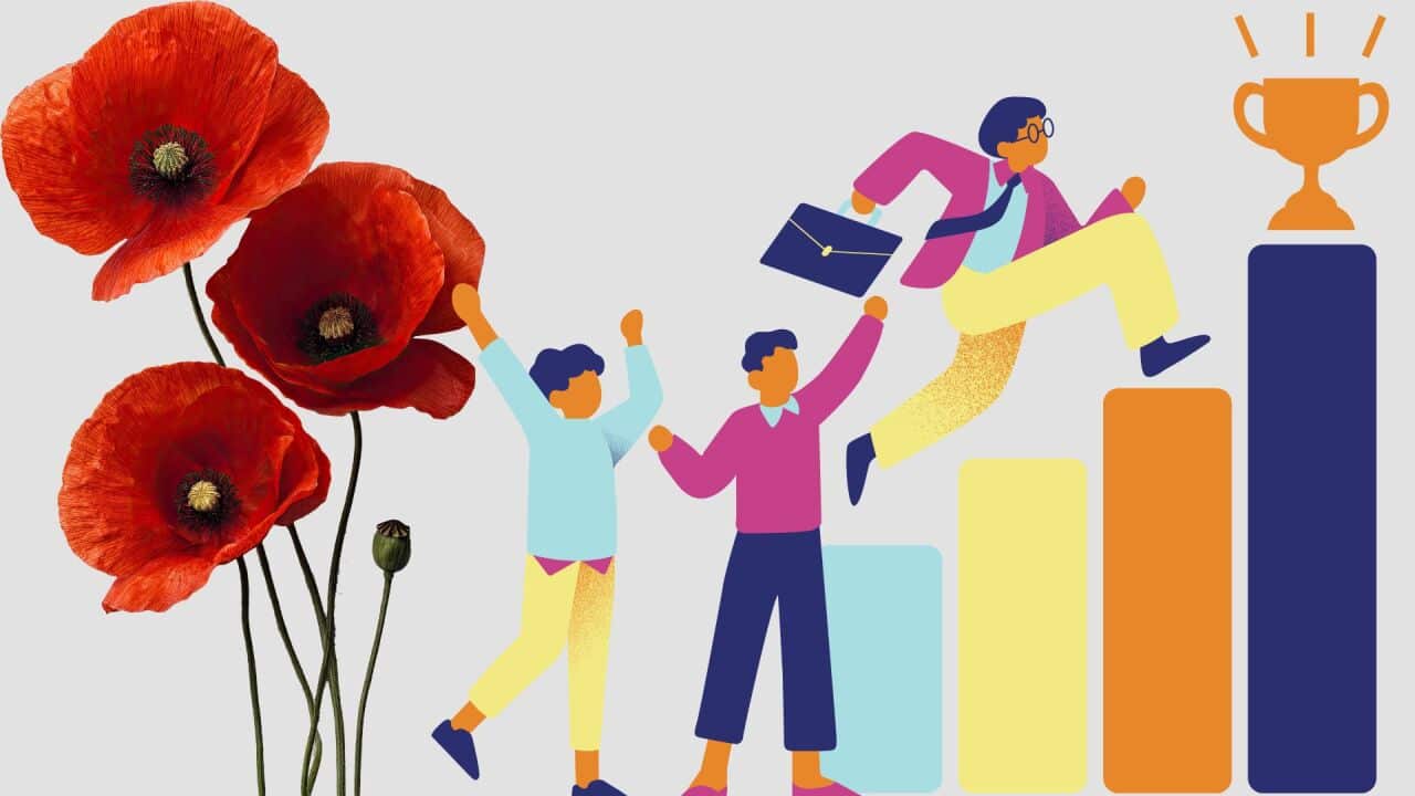What is tall poppy syndrome?