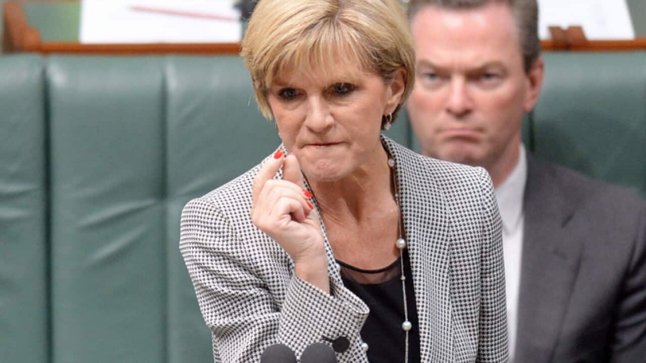 Foreign minister Julie Bishop