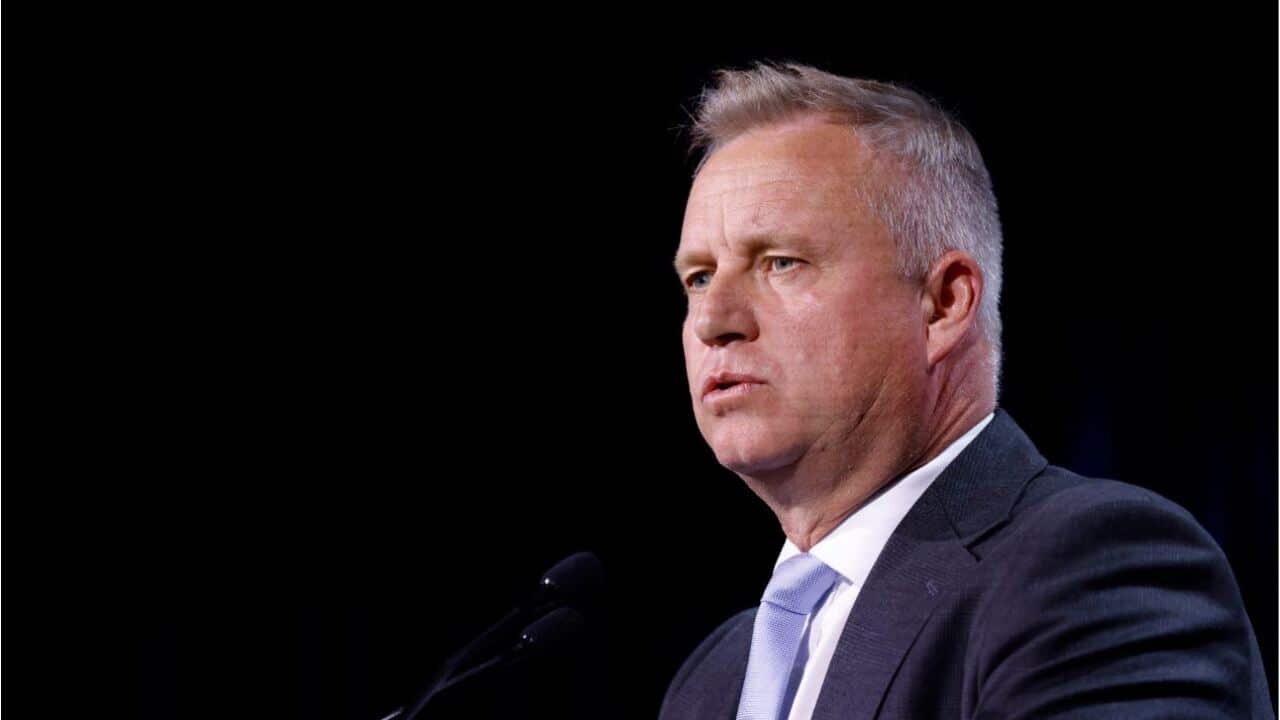 Image for read more article 'Más noticias en español:'