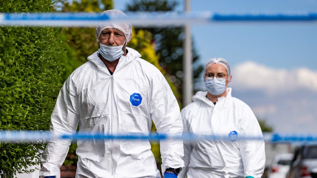 Image for read more article 'READ MORE'