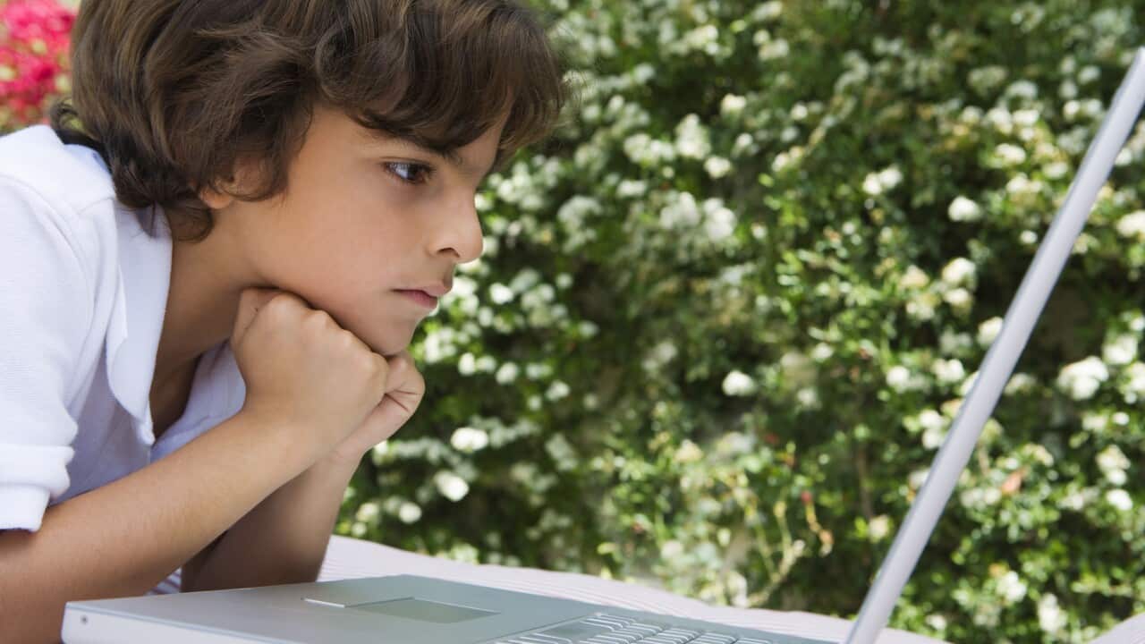 Little Boy Using a Laptop