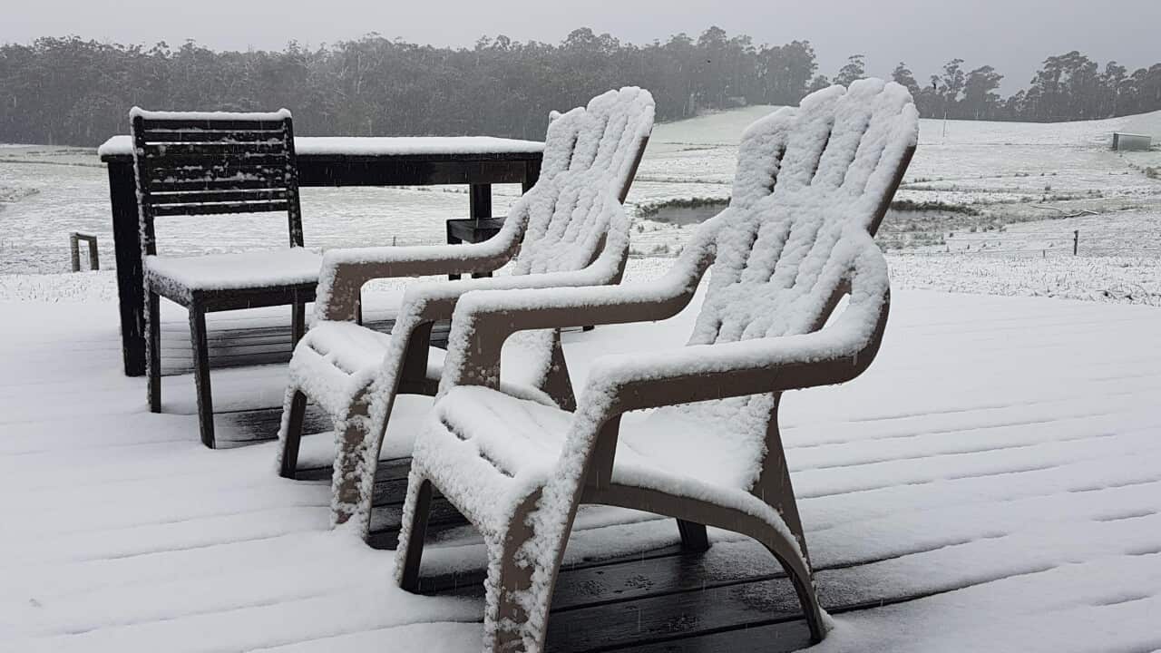 COLD WEATHER TASMANIA