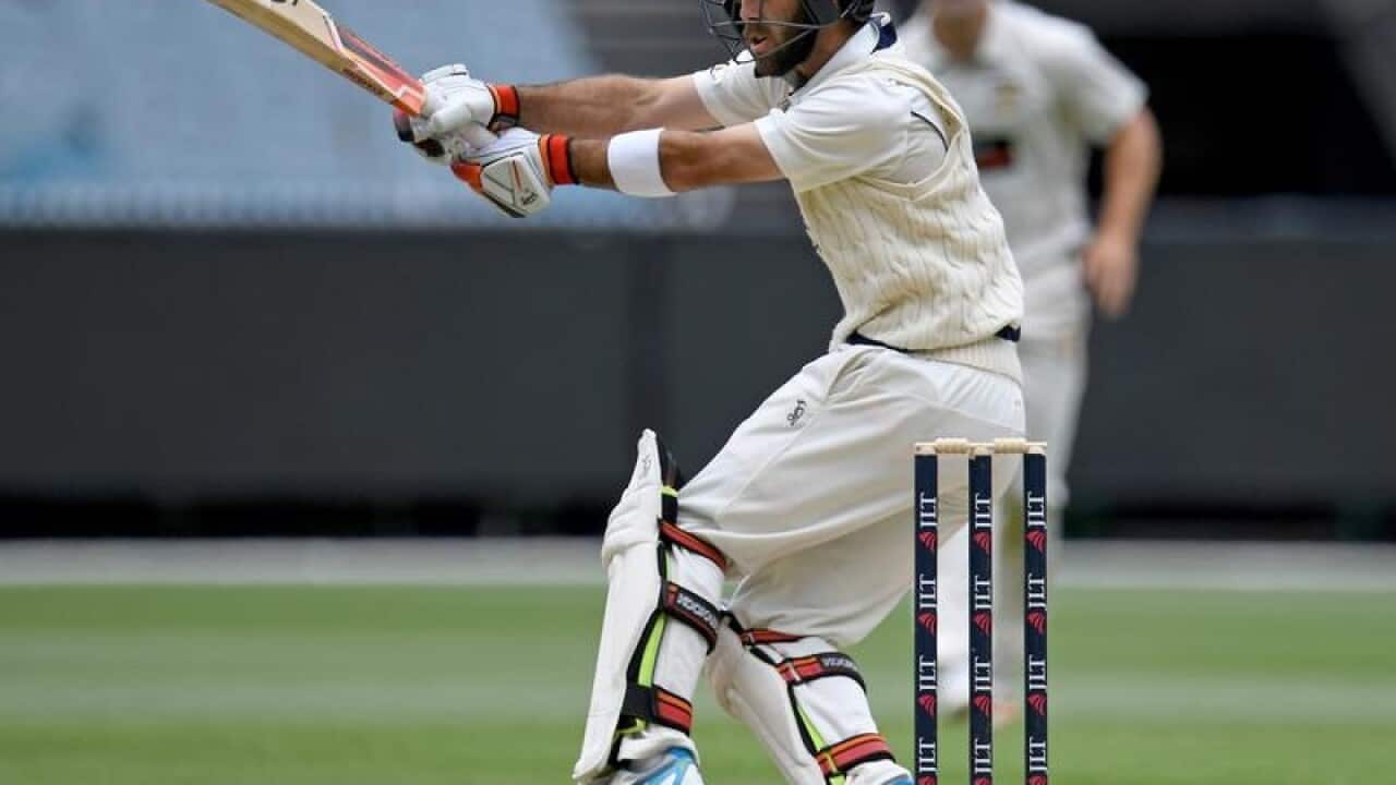 Victorian allrounder Glenn Maxwell plays a shot