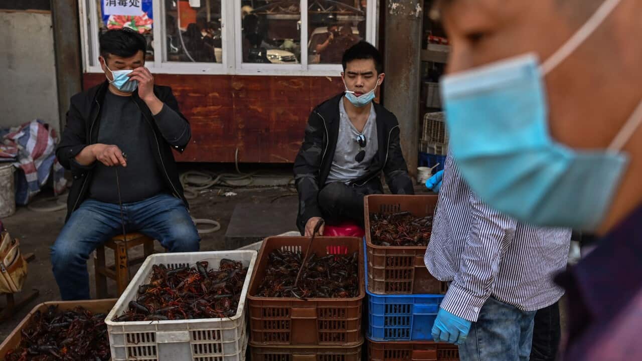Workers at Wuhan Baishazhou Market in Wuhan in China's Hubei province