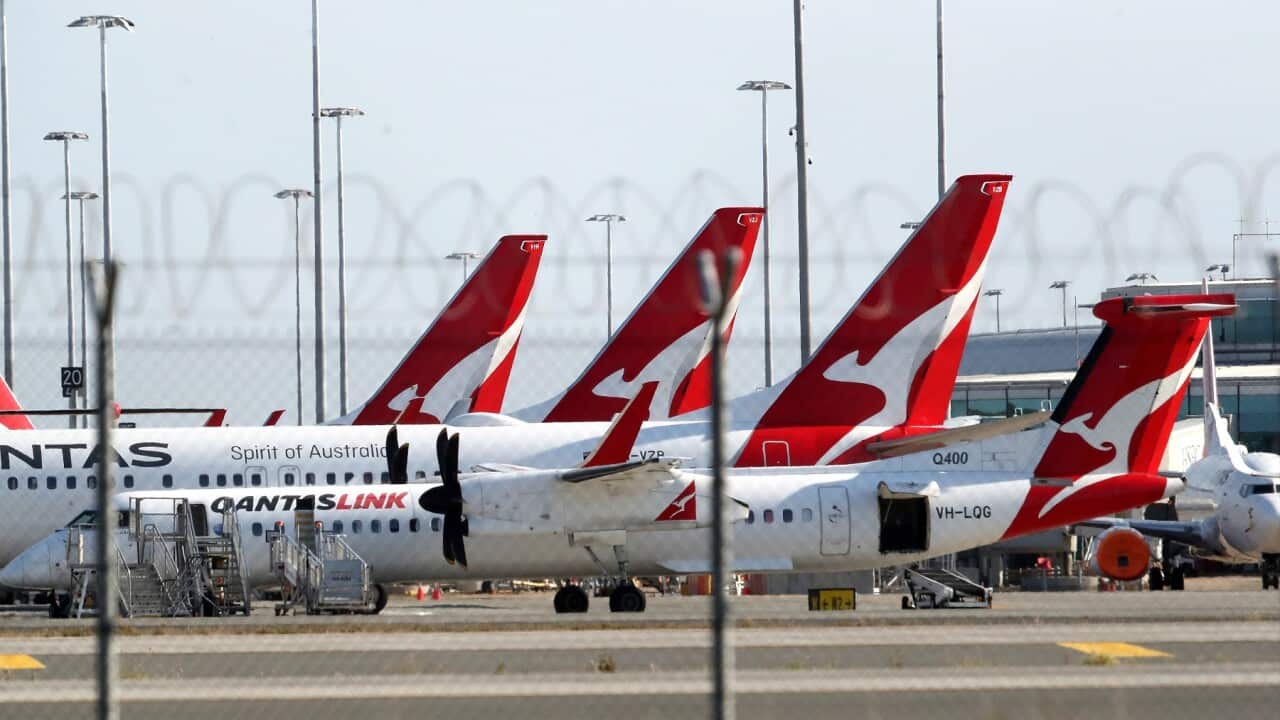 A lineup of Quantas planes at Brisbane domestic airport