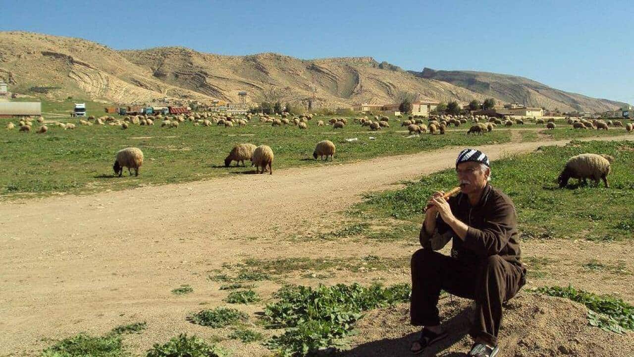 Musician, poet Latif Pola at Northern of Iraq