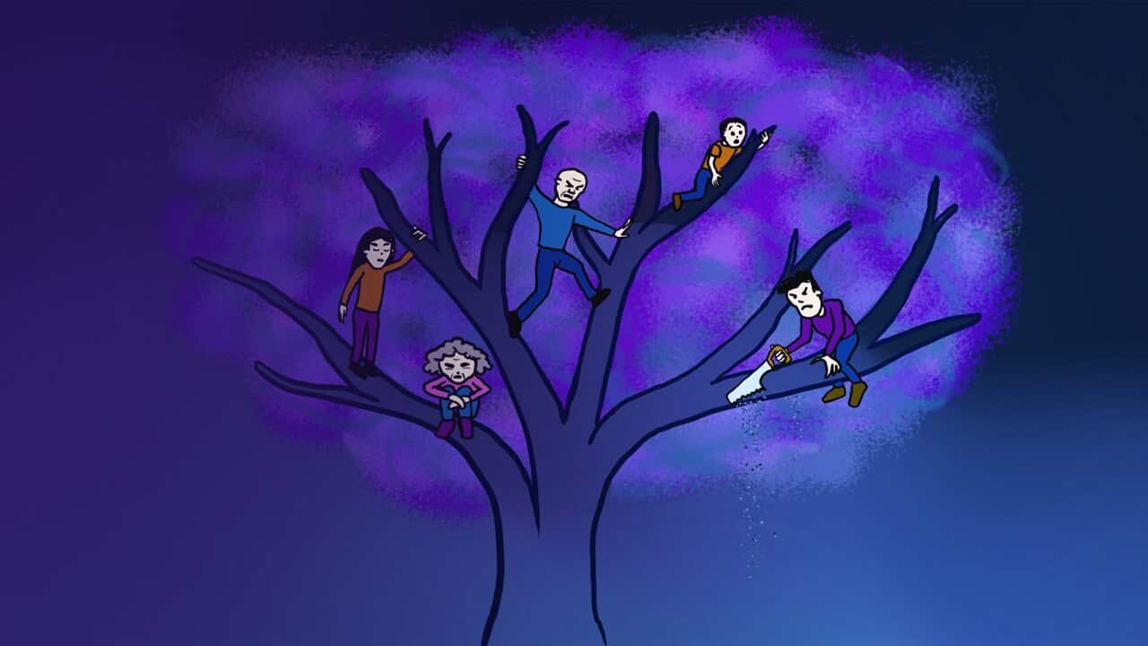 Image for read more article ''