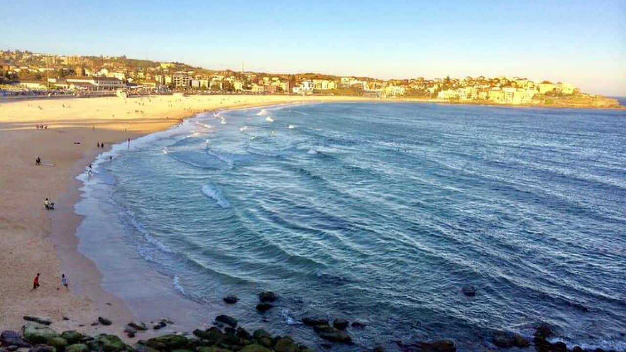Bondi Beach