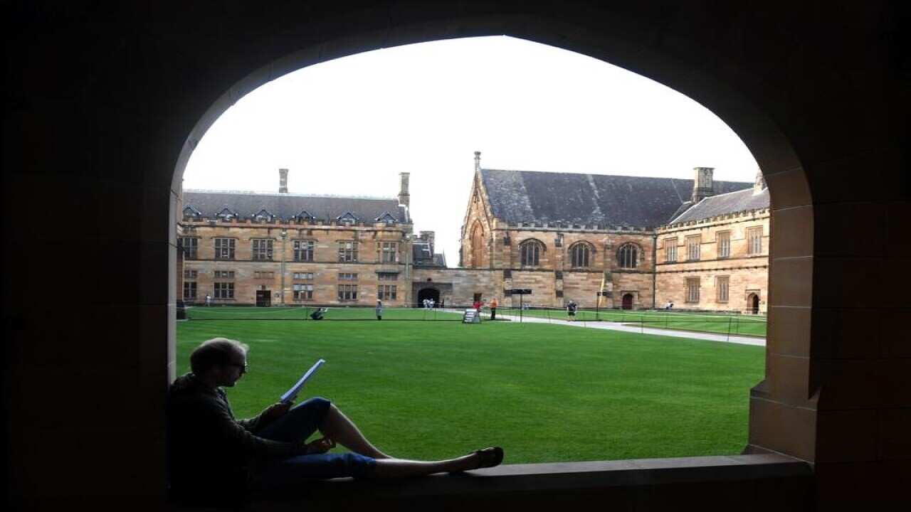 A file image of a student reading at the University of Sydney