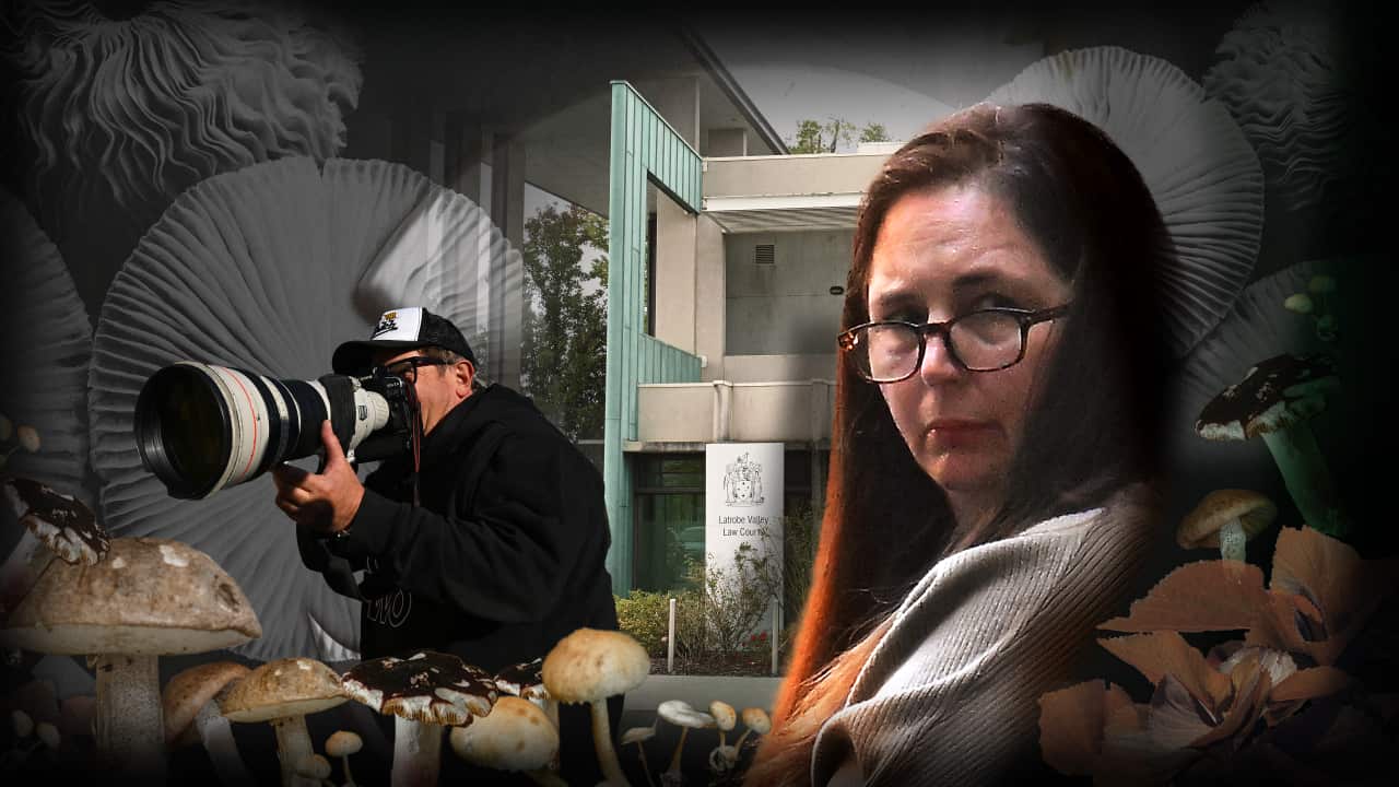 Grahic showing a man with a camera, Latrobe Valley Court, A woman wearing glasses, and some mushrooms