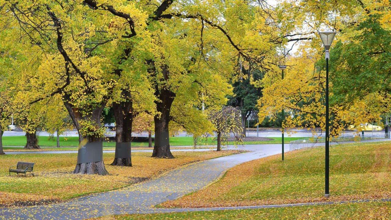 Autumn