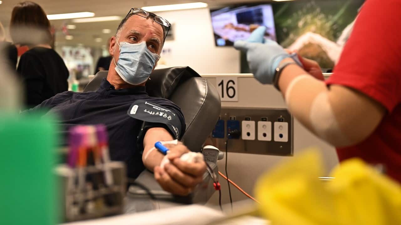 BLOOD DONATIONS SYDNEY