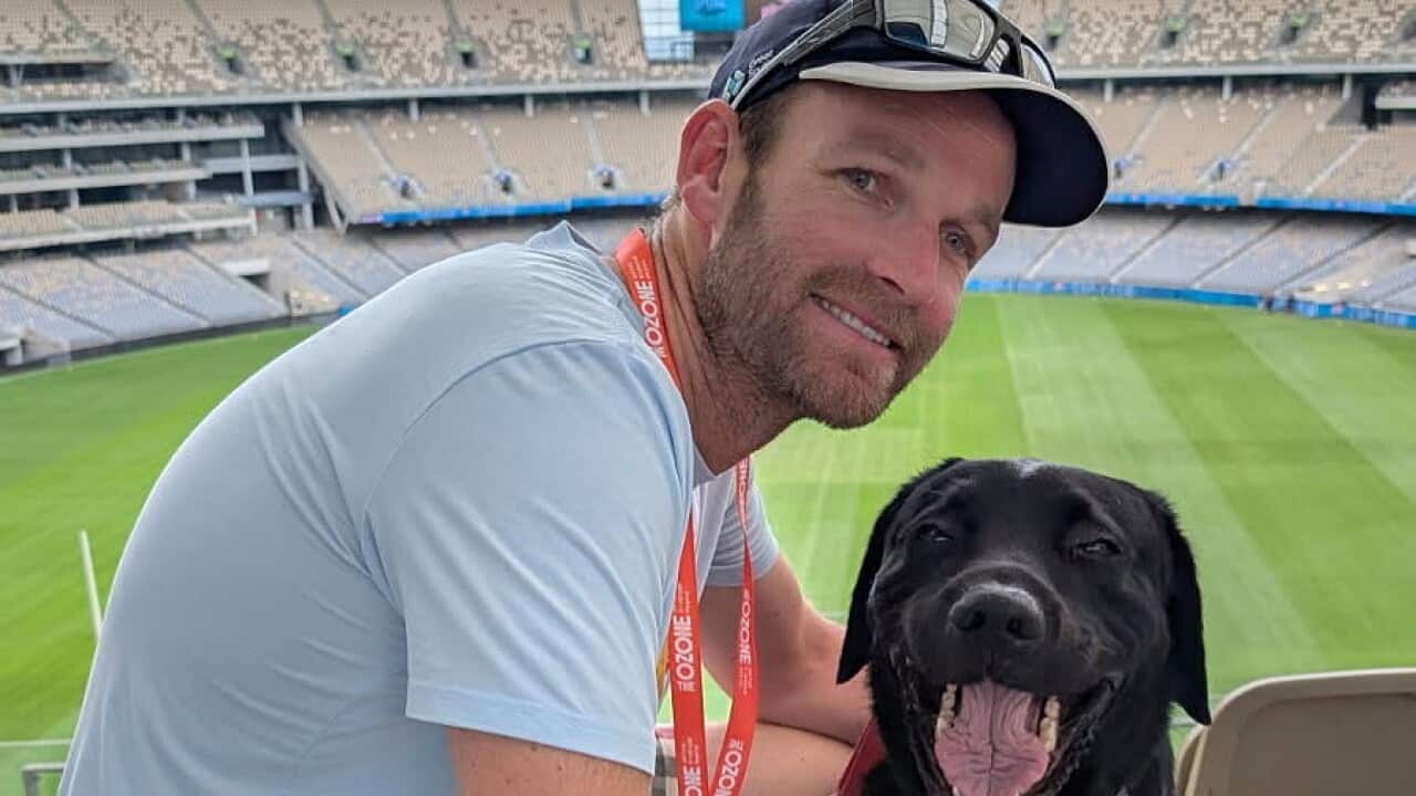 A man knelt beside a guide dog.