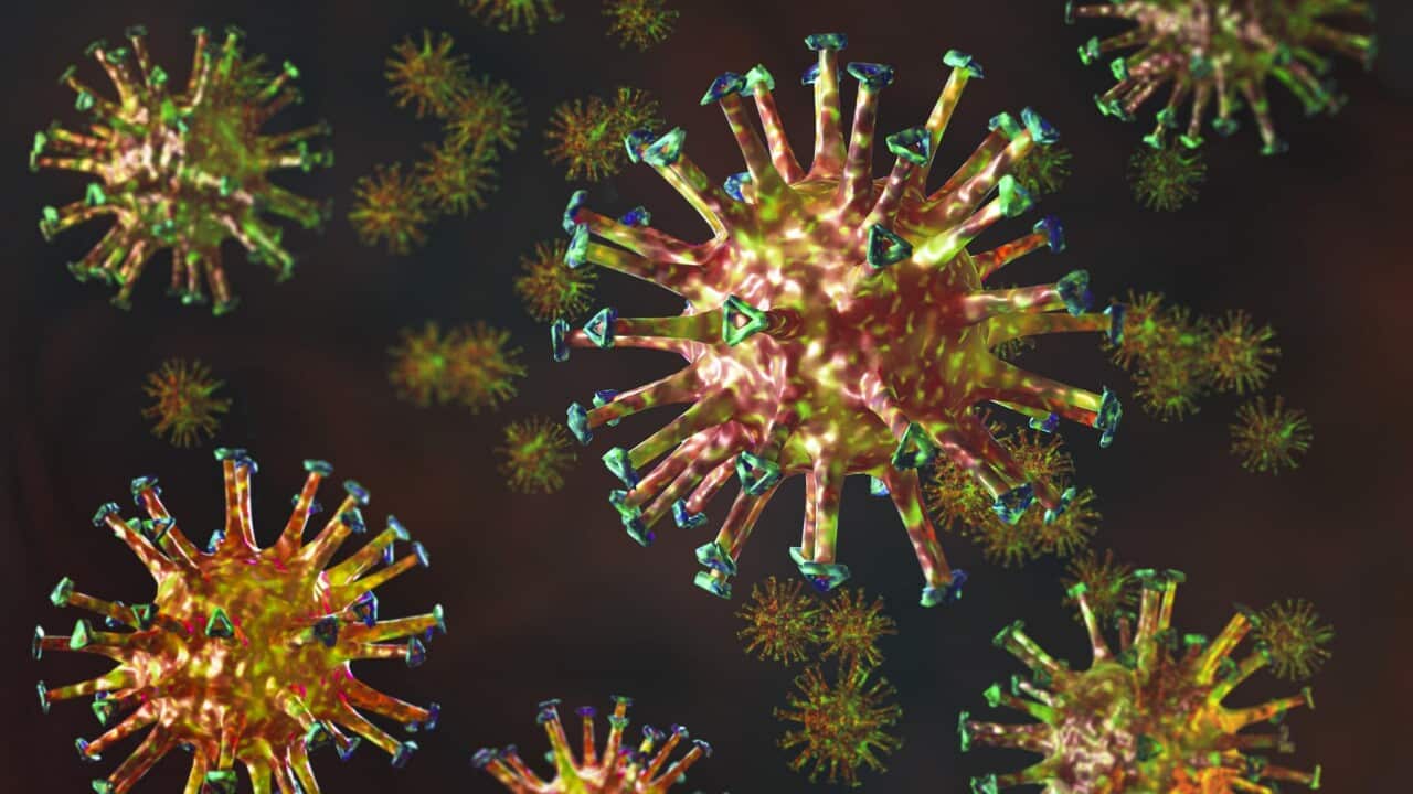 A 3d render of a Chronavirus or COVID-19