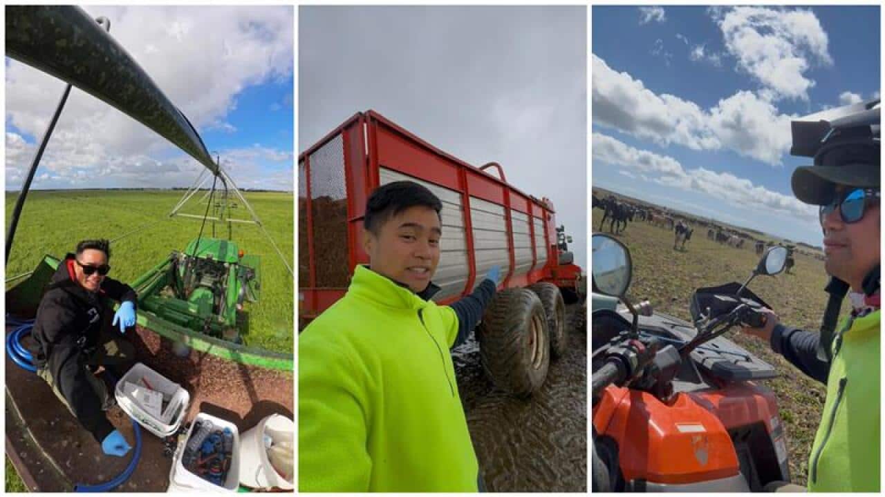 ​Jerwell Dela Cruz was a nursing graduate when he migrated to Tasmania to reunite with his family, most of whom work in dairy farming