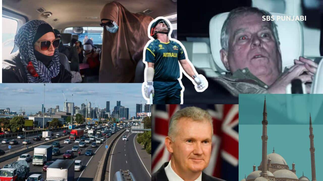 MP's 16x9 (Presentation) (1).jpg