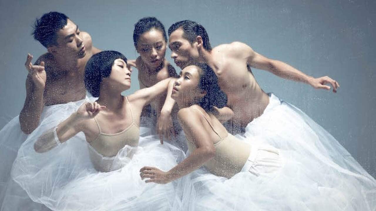 Image for read more article 'READ MORE'