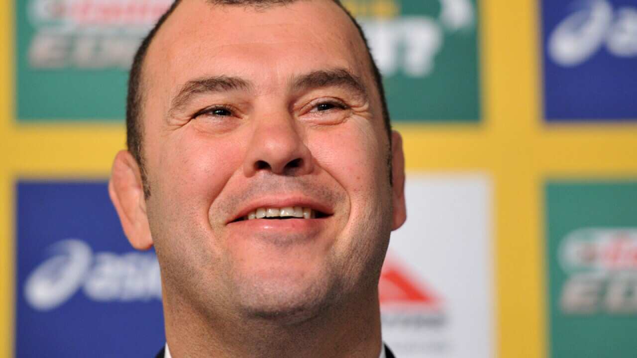 Wallabies coach Michael Cheika