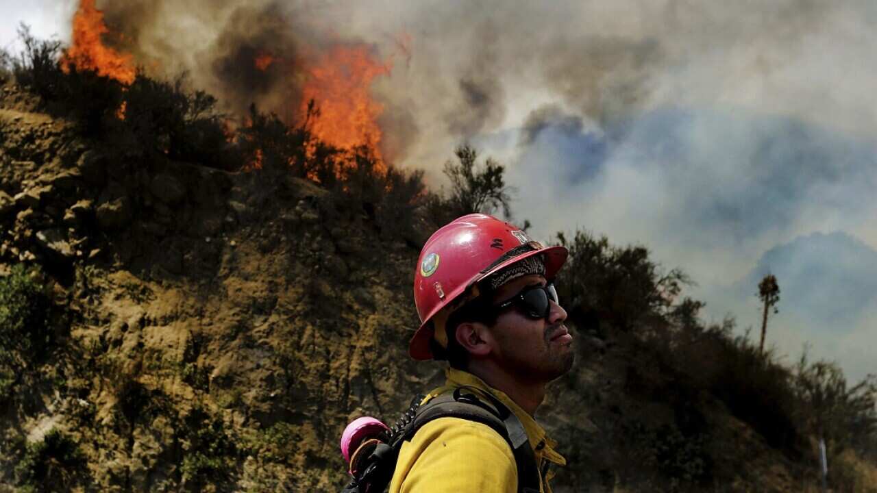 A firefighter watches as the Cranston fire grows to more 1,200 acres in the San Bernardino National Forest above Hemet.A firefighter watches as the Cranston fire grows to more 1,200 acres in the San Bernardino National Forest above Hemet.