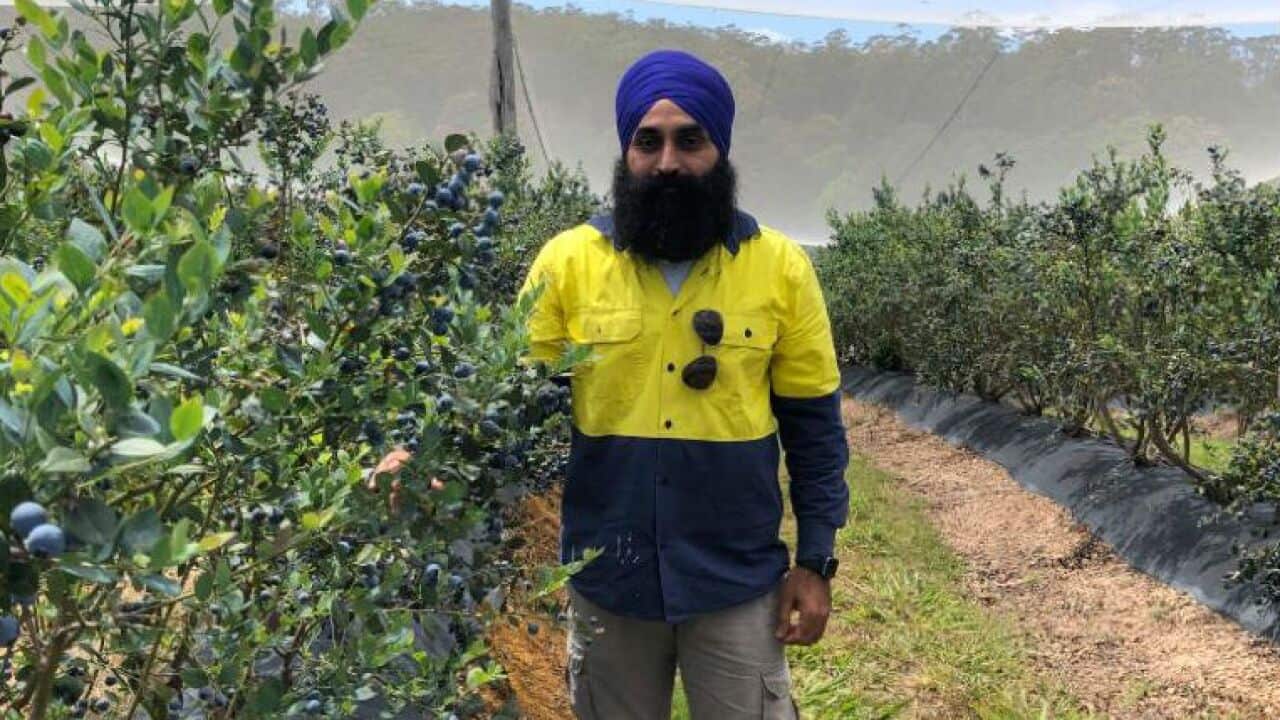 Image for read more article ''