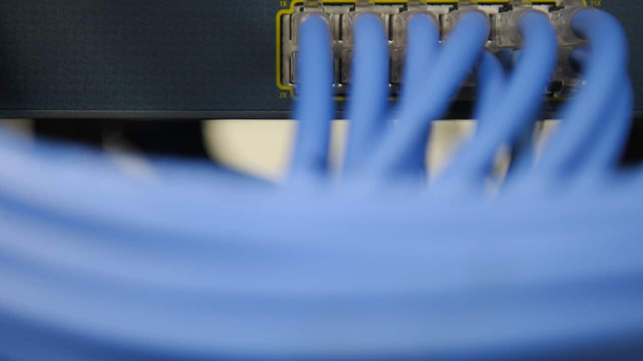 Ethernet cables.