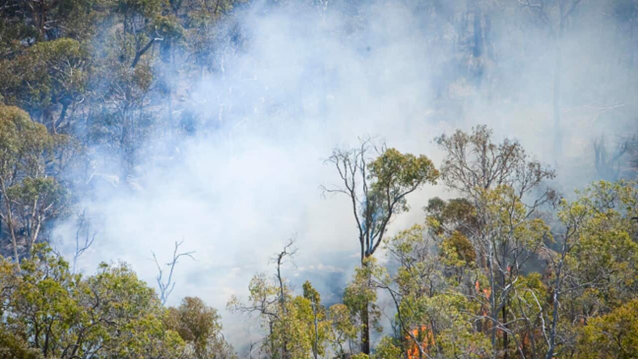 perth_bushfire_aerial_110208_B_AAP_596914261