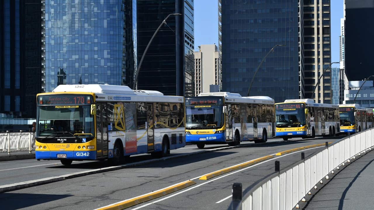 BRISBANE BUS STOCK