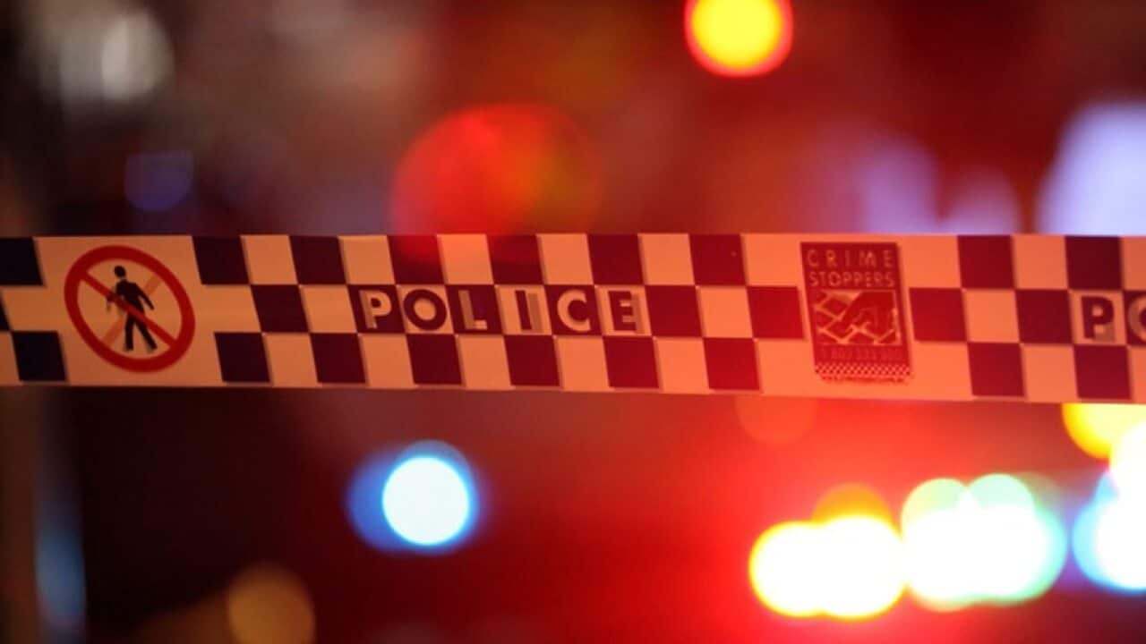 Alleged two Sydney plane bomb plotters 'captured in Iraq.