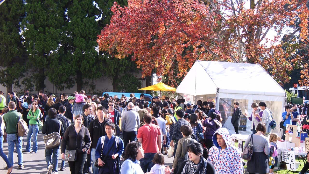 japanese_fest_box_hill_melb_sbs_radio.jpg